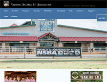 Tablet Screenshot of nsba.com
